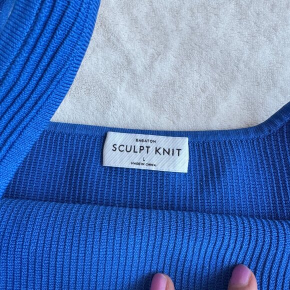 Aritzia Babaton Blue Sculpt Knit - Picture 3 of 6